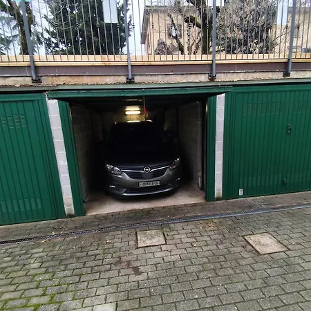 App Tara Liberty Style * 이몰라